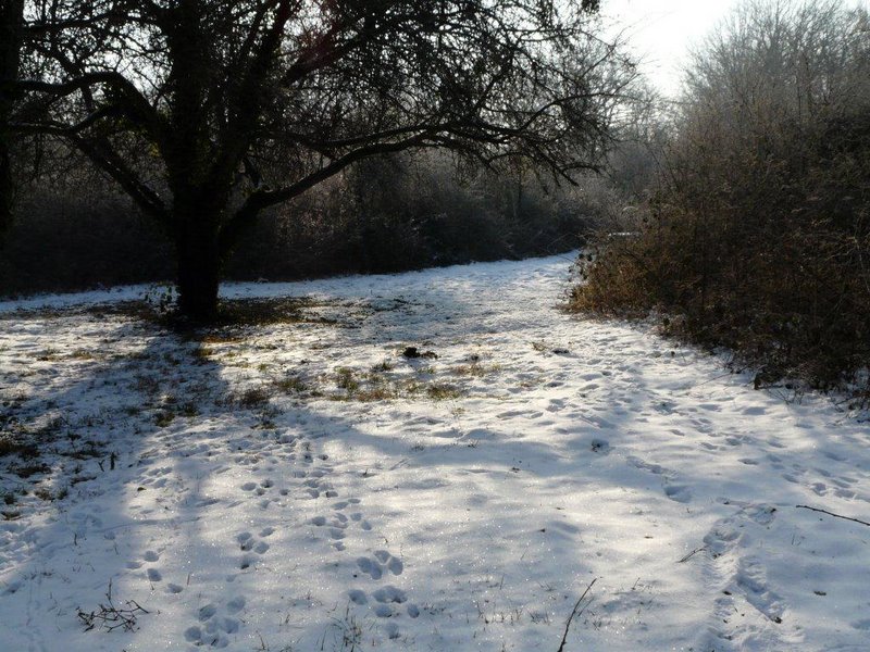 Février 2012 Atelier rencontre au PdH 07